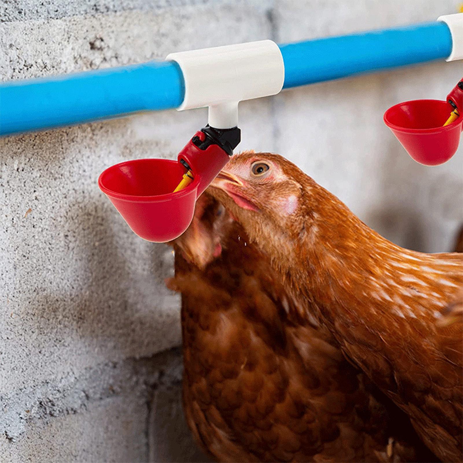 Chicken Drinker PVC Tee Fittin - Chicken Nipple Drinker avaliação e preço