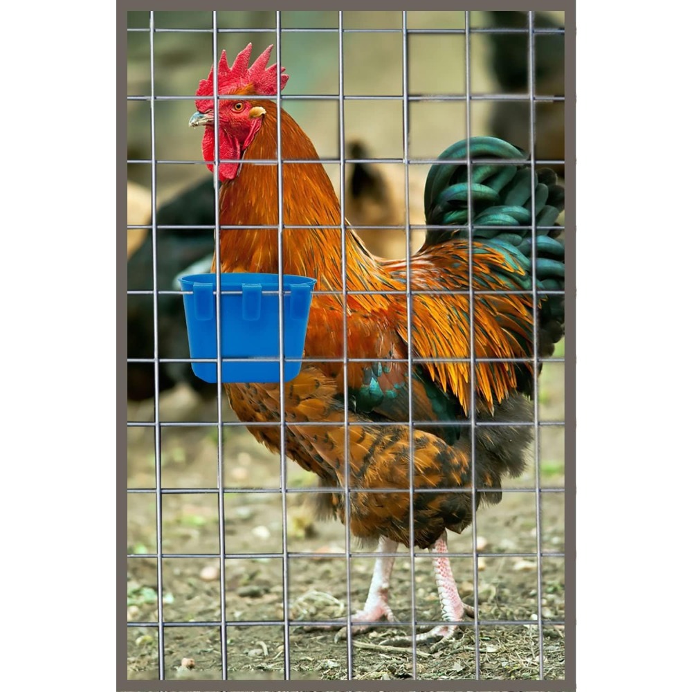 Hot Selling 10 Pack Cage Cups  - Rabbit Cage Wire avaliação e preço