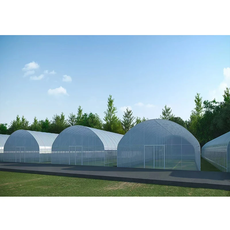 # l Low Cost Farm Singlespan G - Organic Farming In Agriculture avaliação e preço
