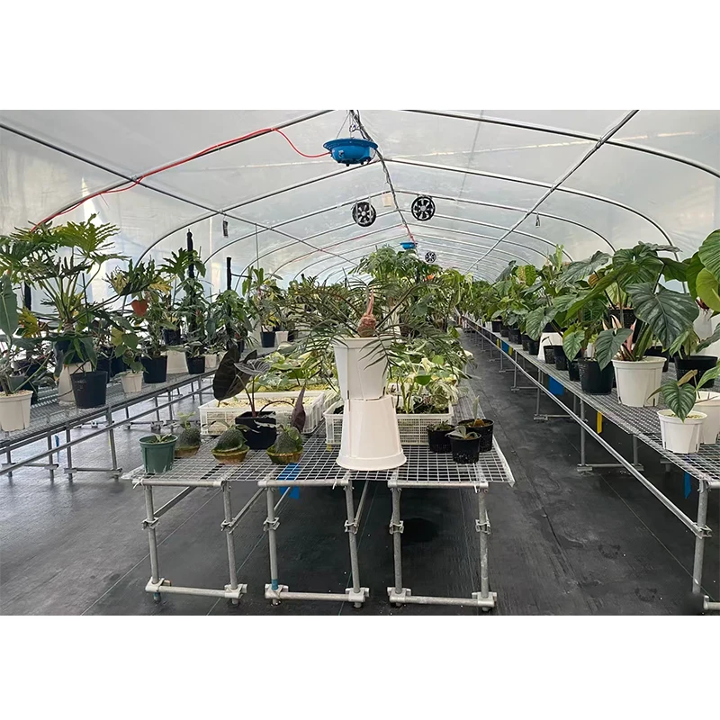 # l Low Cost Farm Singlespan G - Organic Farming In Agriculture avaliação e preço