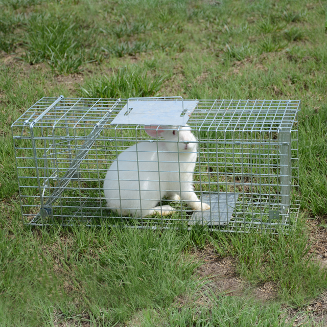Automatic Metal Mouse Cage Tra - Rabbit Cage Wire avaliação e preço
