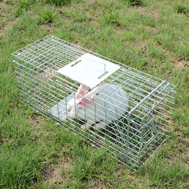 Automatic Metal Mouse Cage Tra - Rabbit Cage Wire avaliação e preço