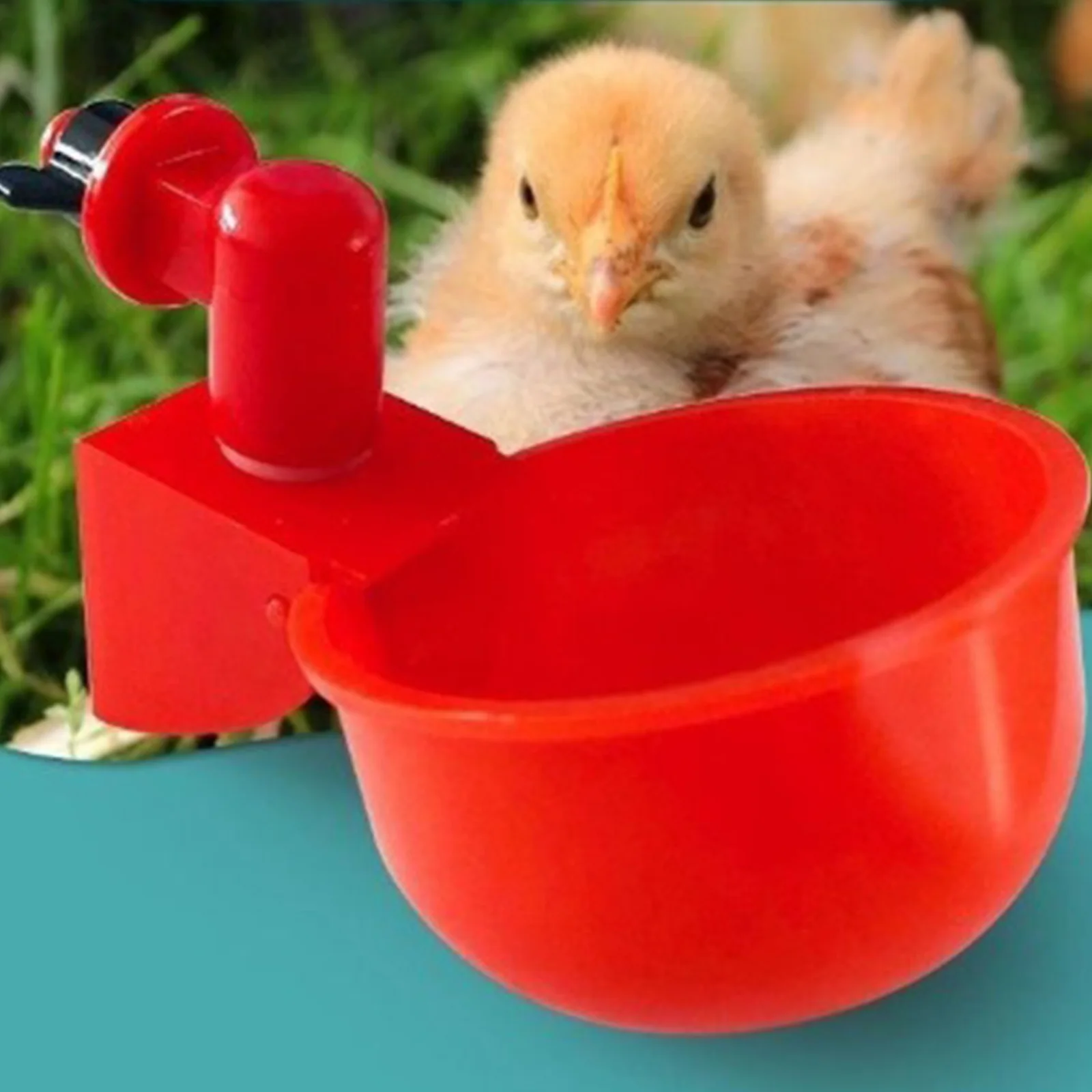 6-36Pcs Chicken Duck Drinking  - Chicken Nipple Drinker avaliação e preço