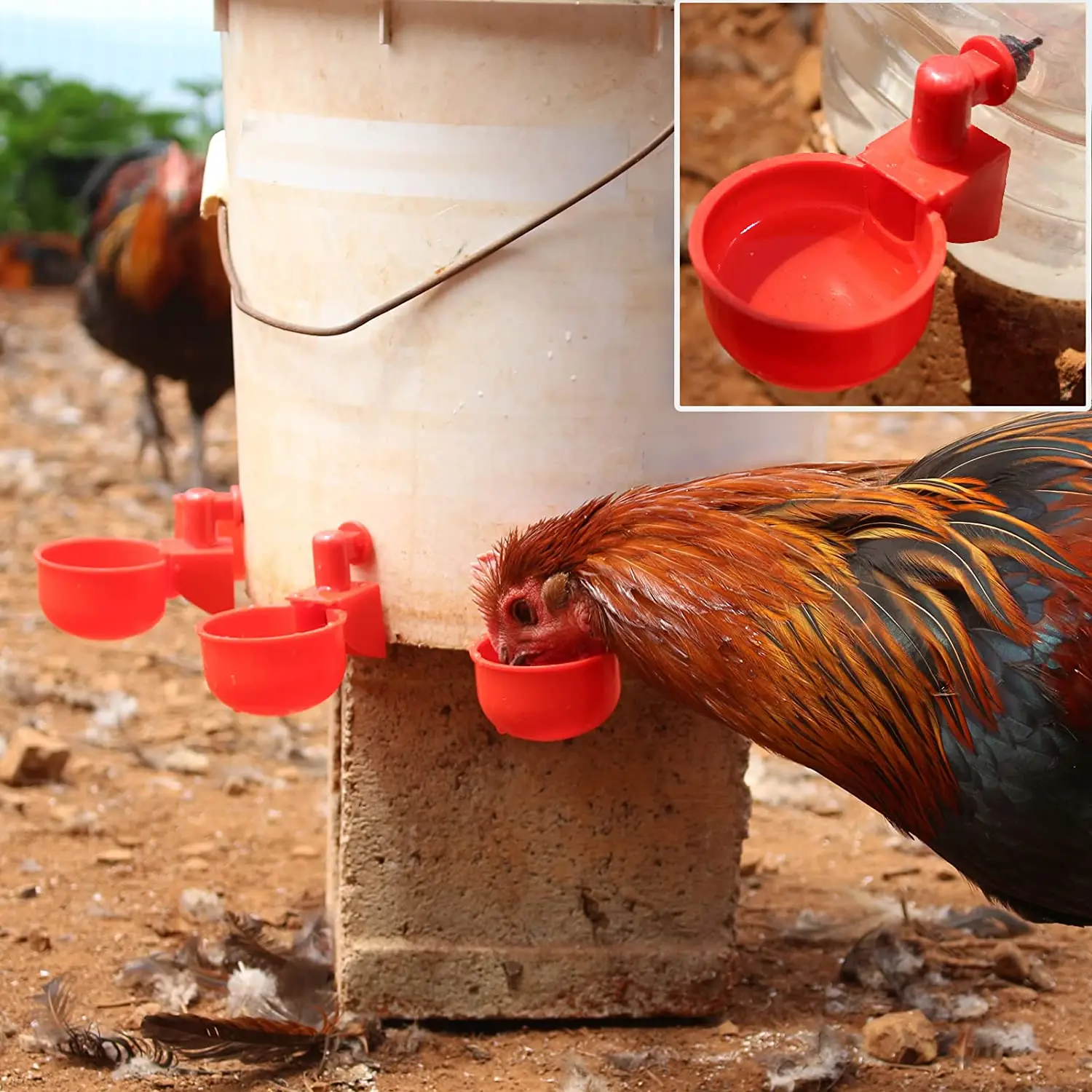 6-36Pcs Chicken Duck Drinking  - Chicken Nipple Drinker avaliação e preço