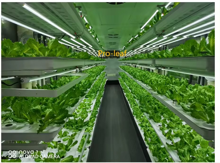 f Greenhouse Agricultural Equi - Agriculture Farming System avaliação e preço