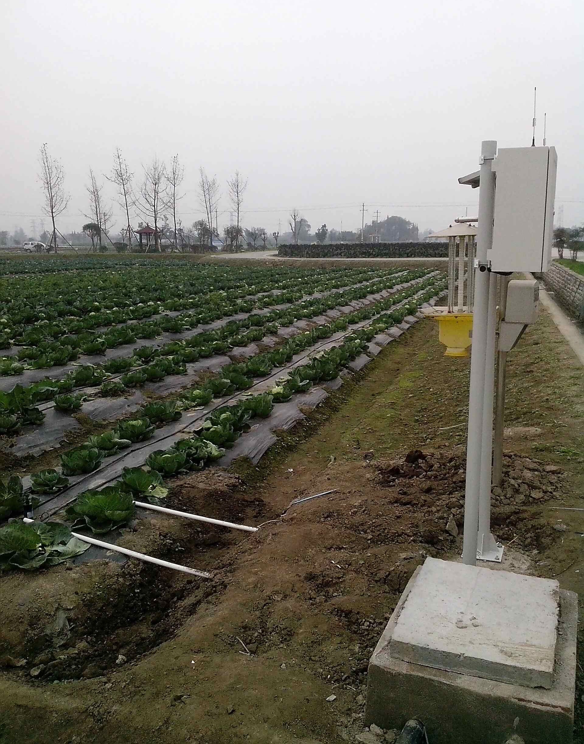 In stock 2026 Smart Crops Farm - Agriculture Farming System avaliação e preço