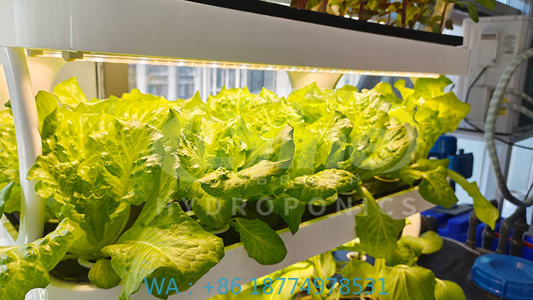 c Agriculture Machine to Growi - Agriculture Farming System avaliação e preço