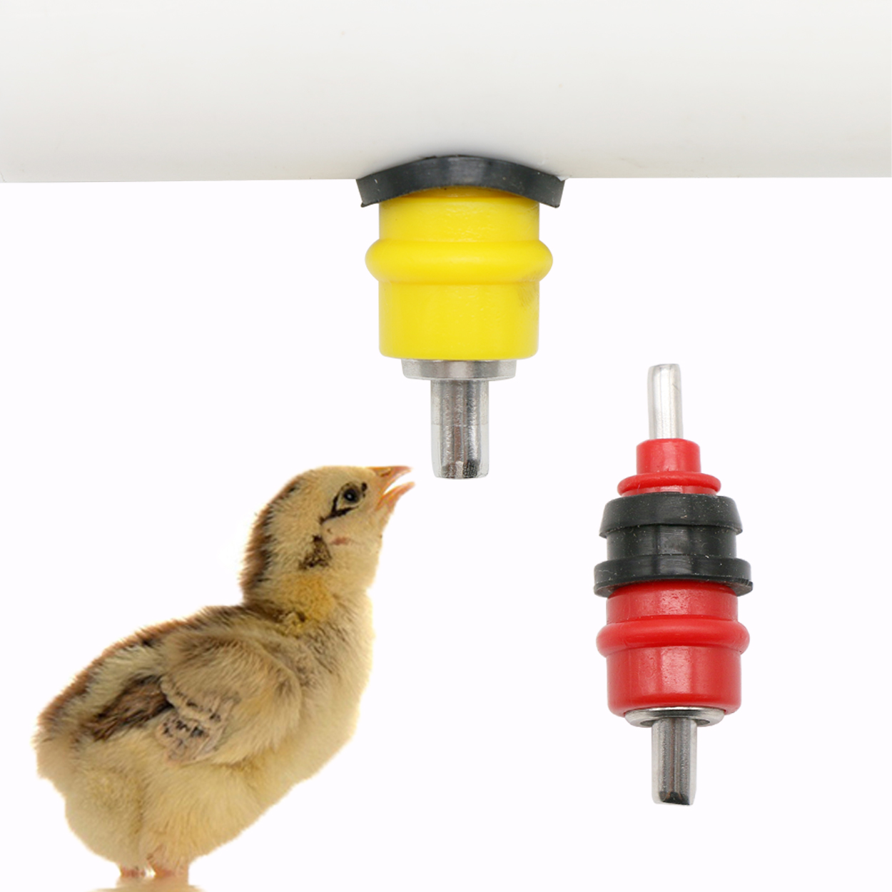 10 pcs Quail Pigeon Bird Water - Chicken Nipple Drinker avaliação e preço