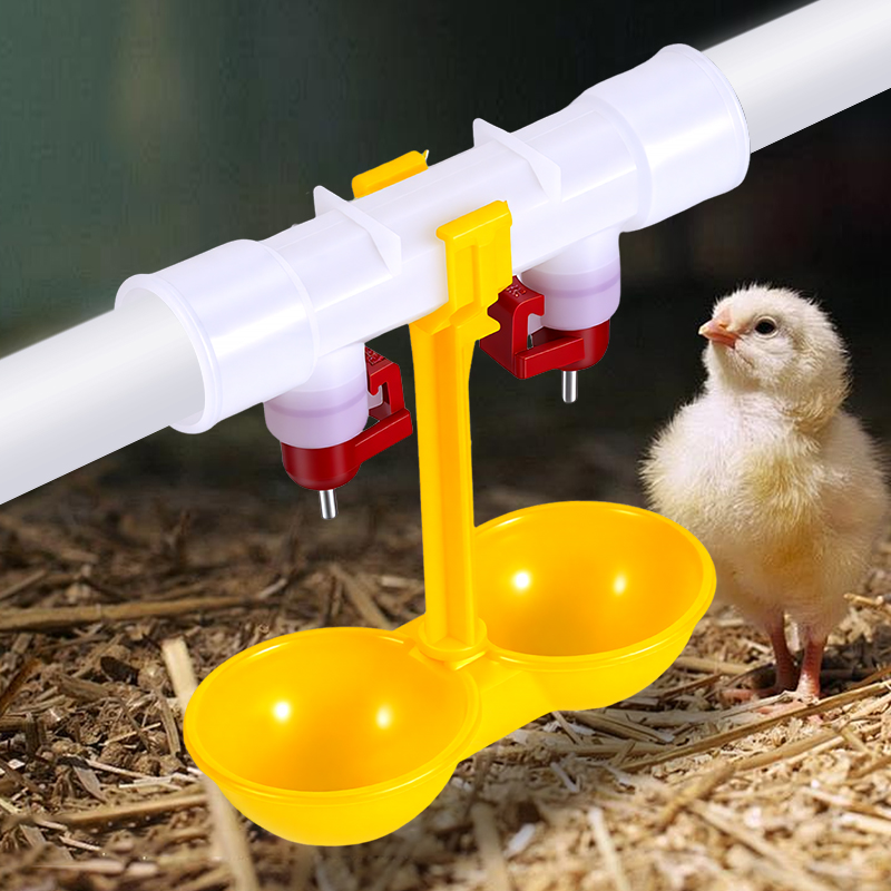 10/20/30pcs Chicken Double Nip - Chicken Nipple Drinker avaliação e preço