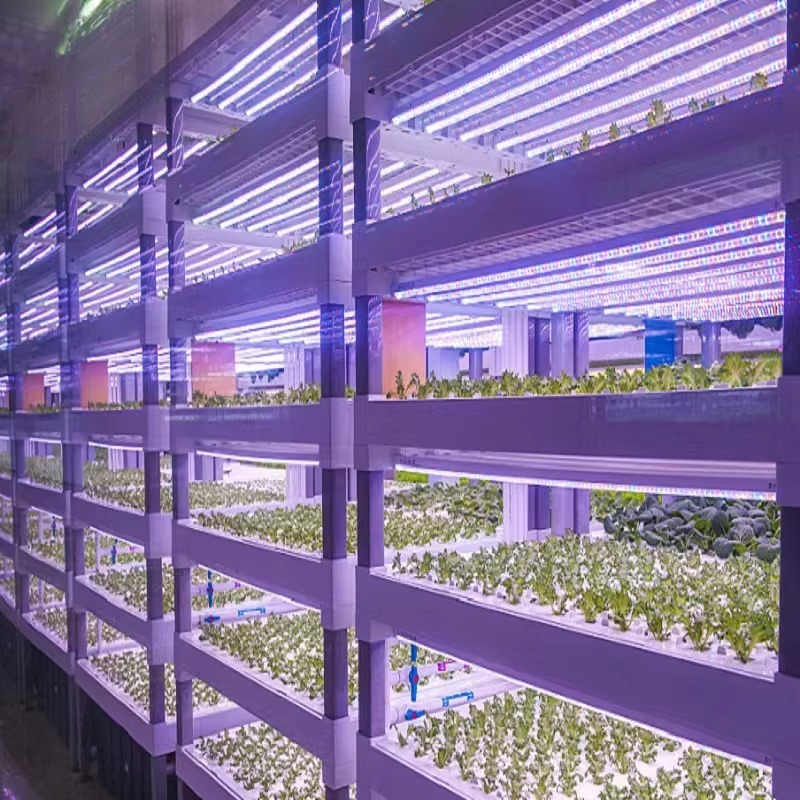 Custom Agricultural Greenhouse - Agriculture Farming System avaliação e preço