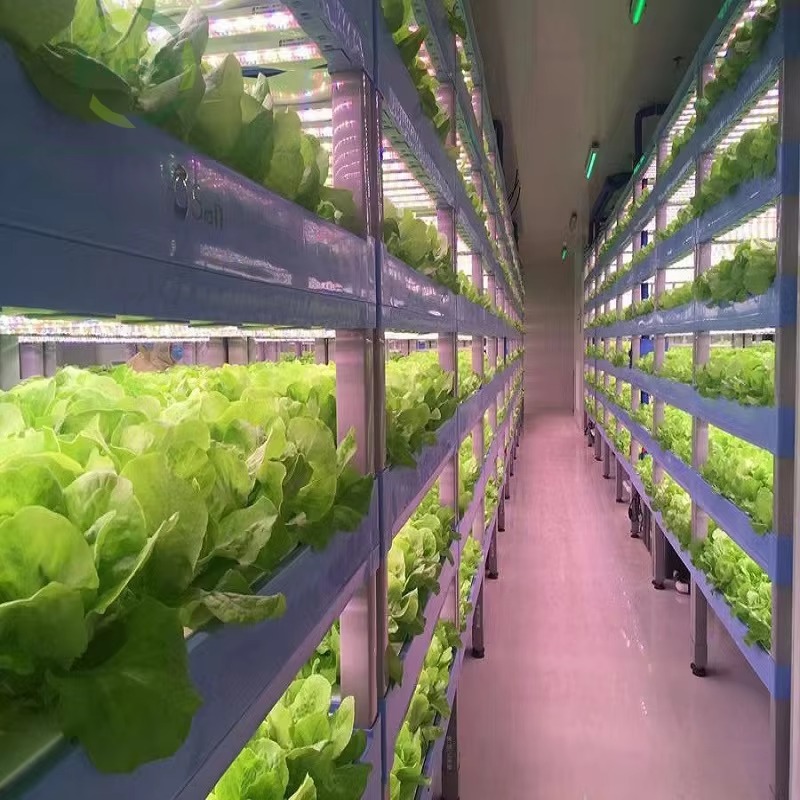 Custom Agricultural Greenhouse - Agriculture Farming System avaliação e preço