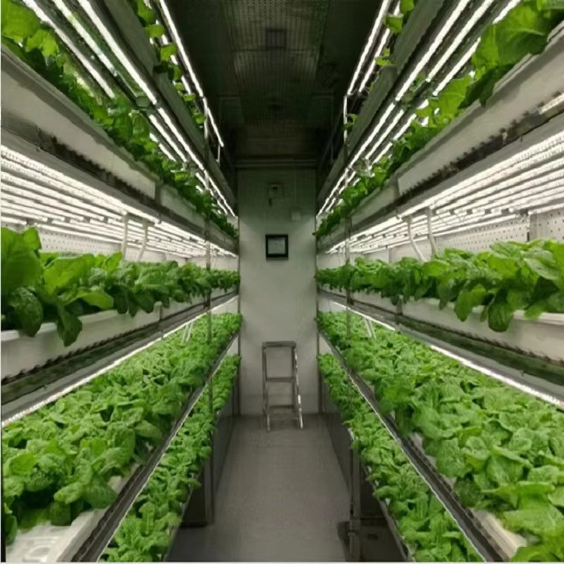 Custom Agricultural Greenhouse - Agriculture Farming System avaliação e preço
