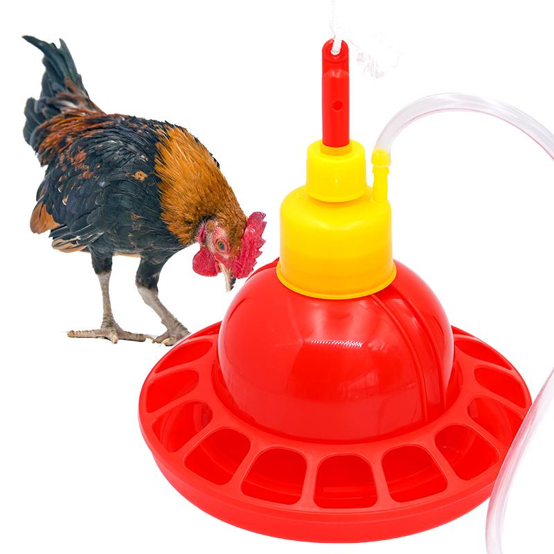 1 Set Chicken Duck Goose Broil - Chicken Nipple Drinker avaliação e preço