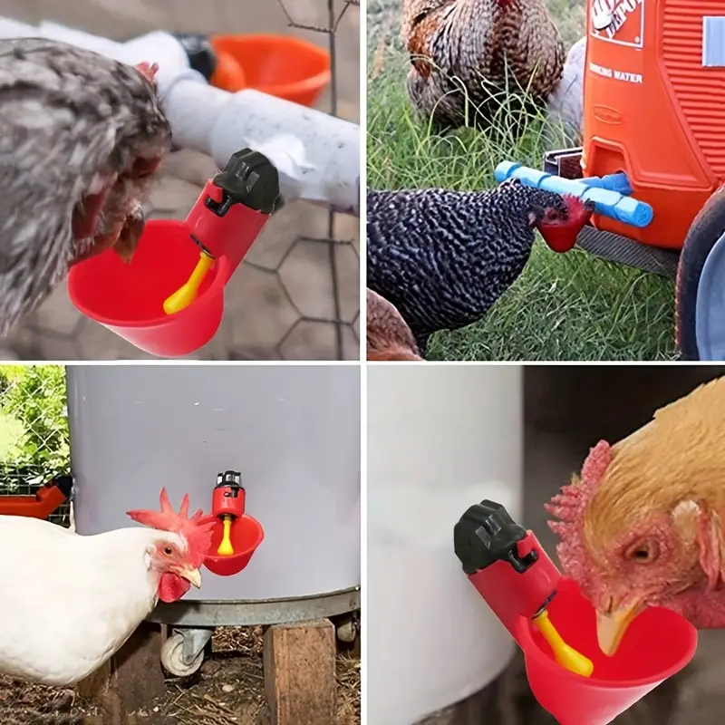 5/10/15Pcs Chicken Quail Hangi - Chicken Nipple Drinker avaliação e preço