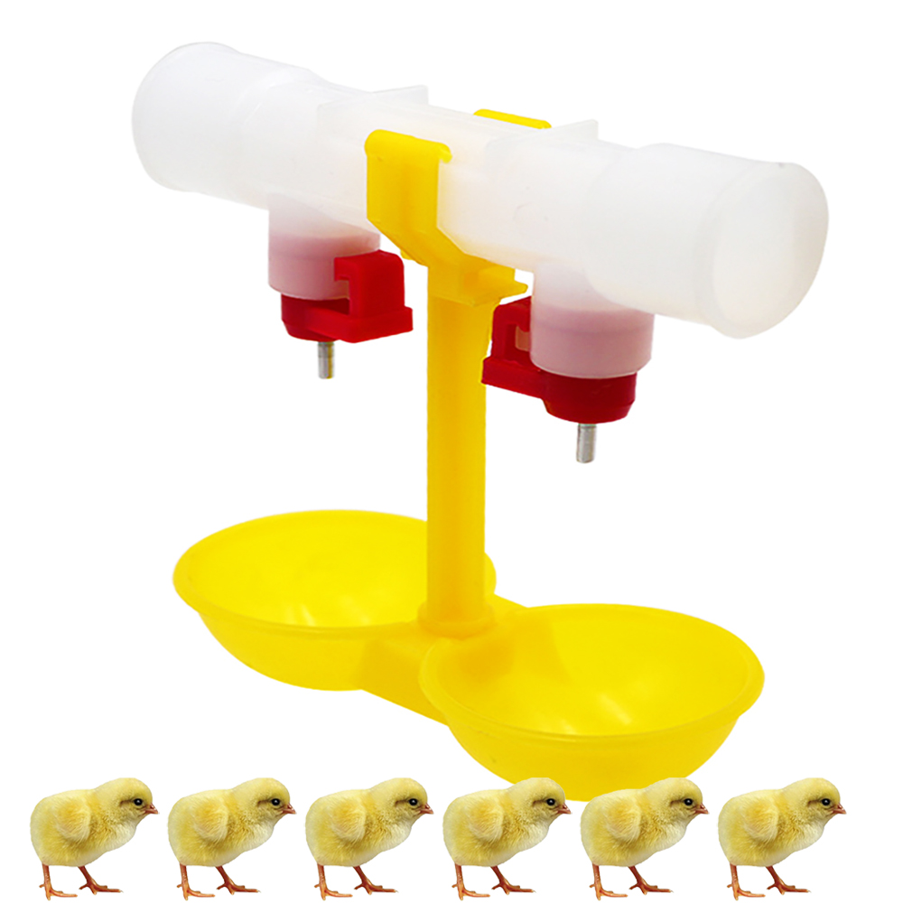 Automatic Chicken Broiler Poul - Chicken Nipple Drinker avaliação e preço