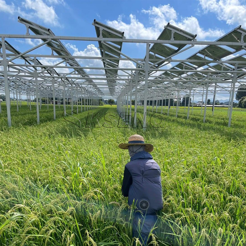 Japan`s New Agriculture Alumin - Agriculture Farming News avaliação e preço