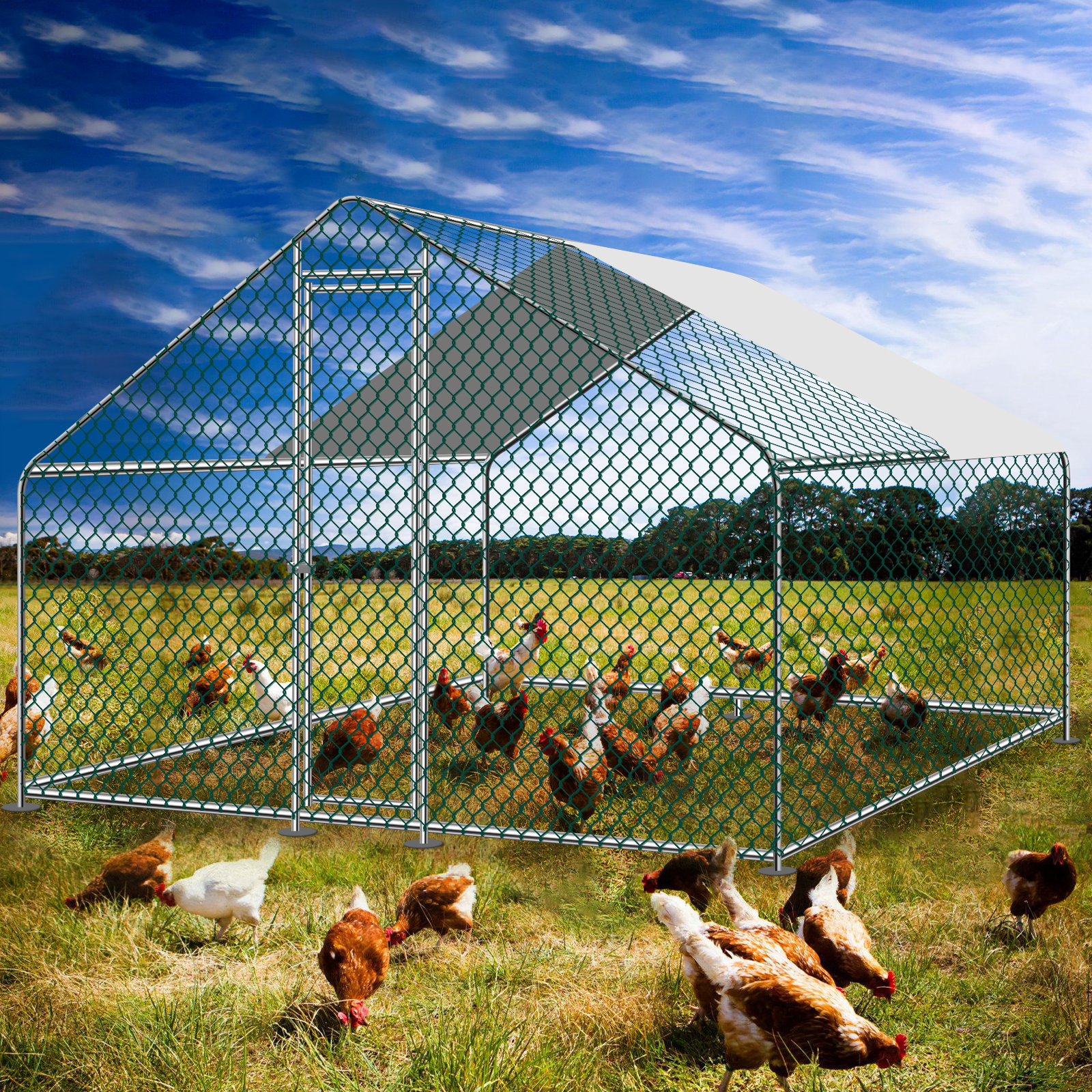 Teousev 10x 10 ft Metal Chicke - Rabbit Cage Wire avaliação e preço