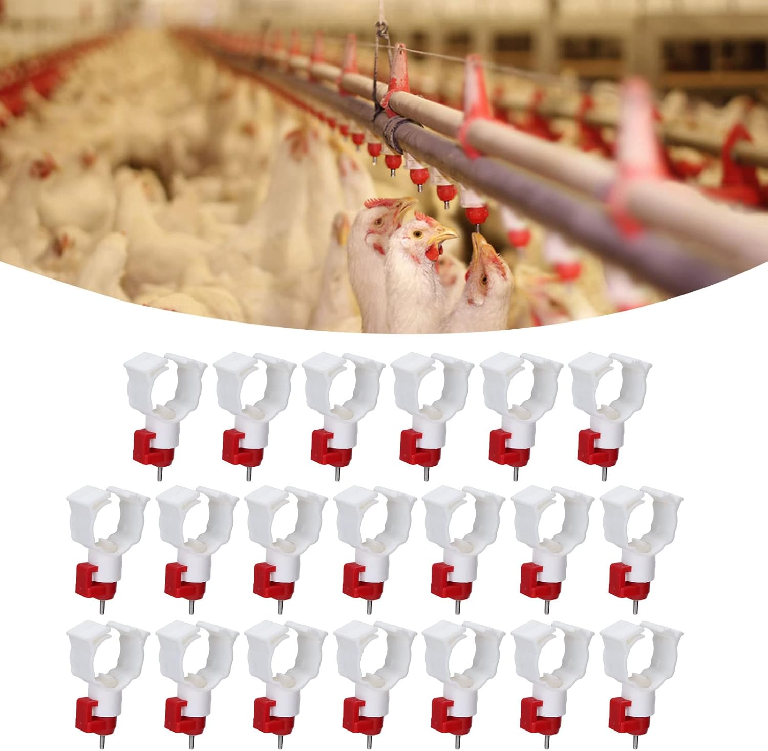 High Quality 20PCS Chicken Nip - Chicken Nipple Drinker avaliação e preço